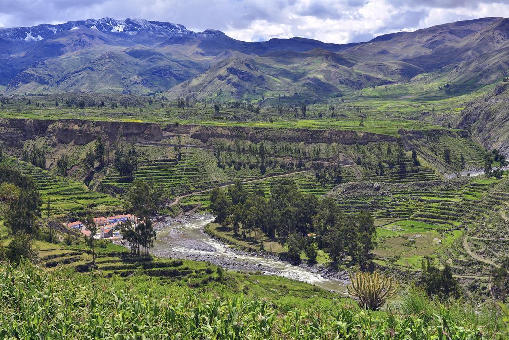 Aranwa Pueblito Encantado Del Colca Coporaque Exteriör bild